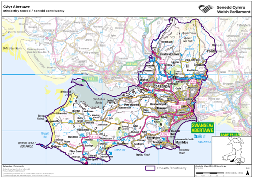 Map yn dangos etholaeth Gŵyr Abertawe yn y Senedd.