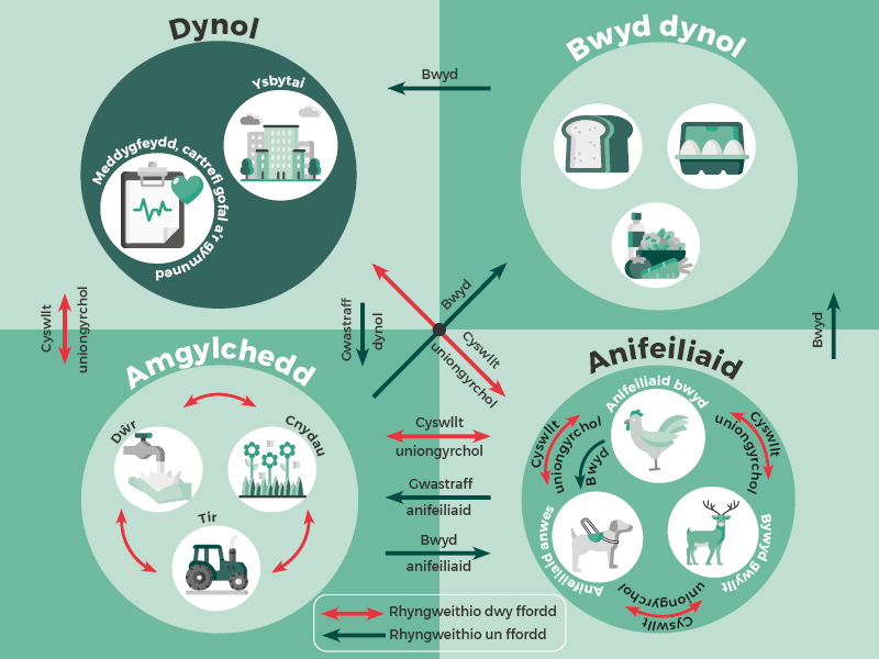 Delwedd wedi'i haddasu o ddogfen bolisi Cynllun Gweithredu Cenedlaethol y DU. Mae'n dangos llwybrau posibl lle gellir trosglwyddo ymwrthedd gwrthficrobaidd rhwng pobl, y bwyd y mae pobl yn ei fwyta, yr amgylchedd ac anifeiliaid. Mae rhai o'r llwybrau hyn yn unffordd, fel bwyd i bobl ac mae eraill yn ddwyffordd fel rhyngweithio rhwng pobl ac anifeiliaid. Dyluniwyd y ddelwedd i ddangos pam y mae angen dull Iechyd Cyfunol i fynd i'r afael â phob agwedd ar ymwrthedd gwrthficrobaidd.