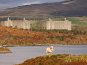 Llun tirlun o orsaf pŵer niwclear Trawsfynydd, gyda llyn a dafad yn y blaendir.
