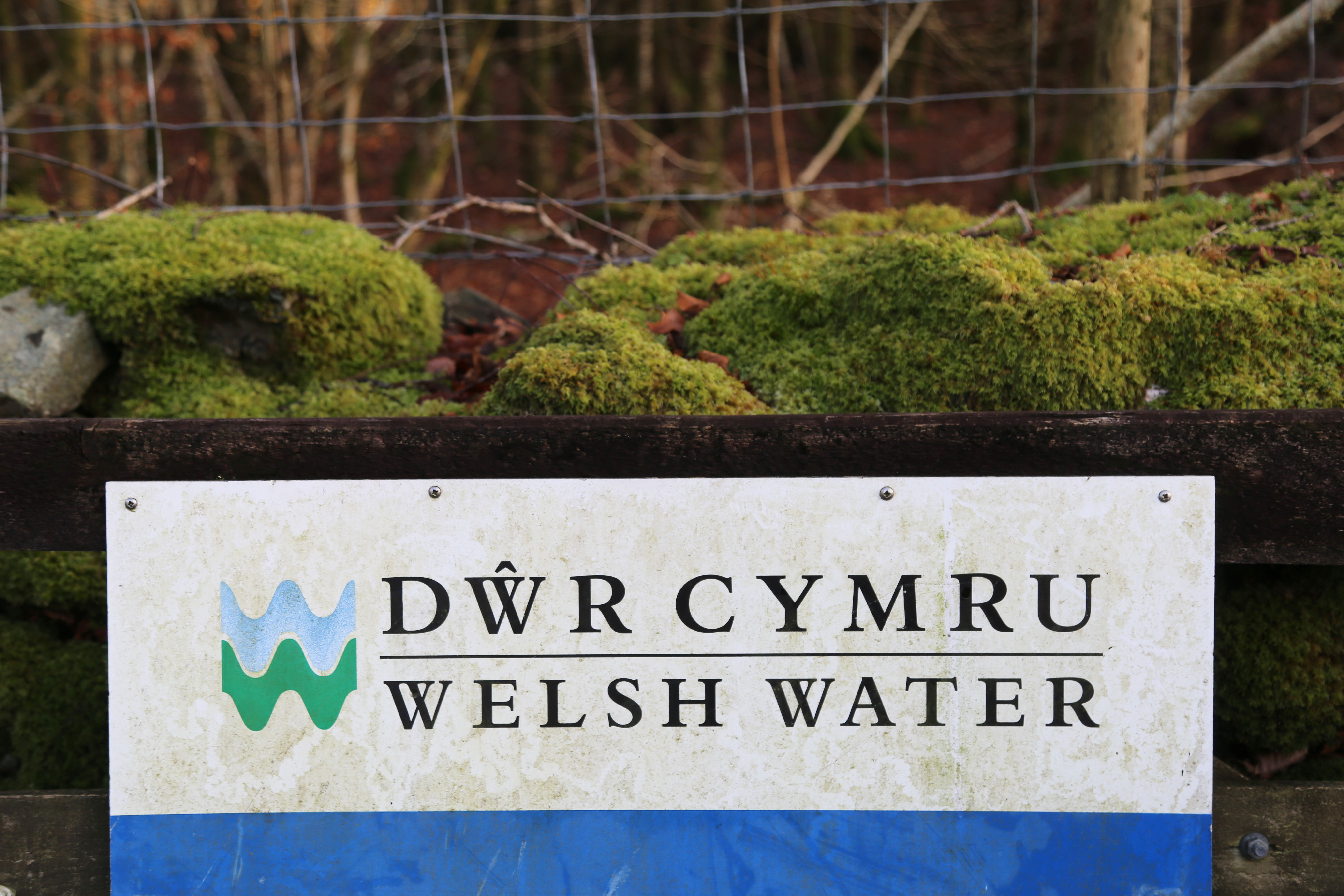 Arwydd awyr agored Dŵr Cymru/Welsh Water o flaen creigiau wedi'u gorchuddio â mwsogl a ffens fetel.