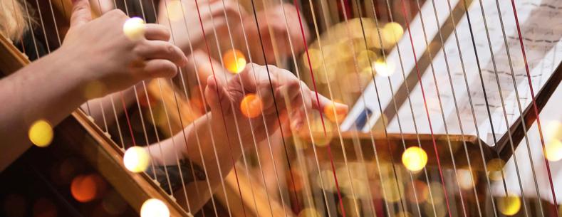 Llun agos o rywun yn chwarae'r delyn.