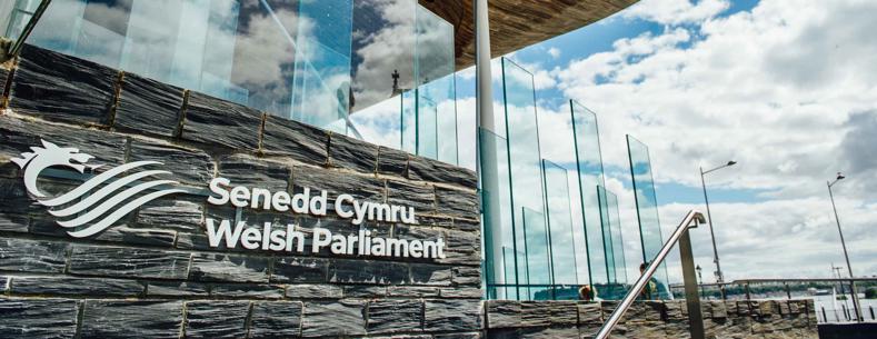 Senedd Cymru