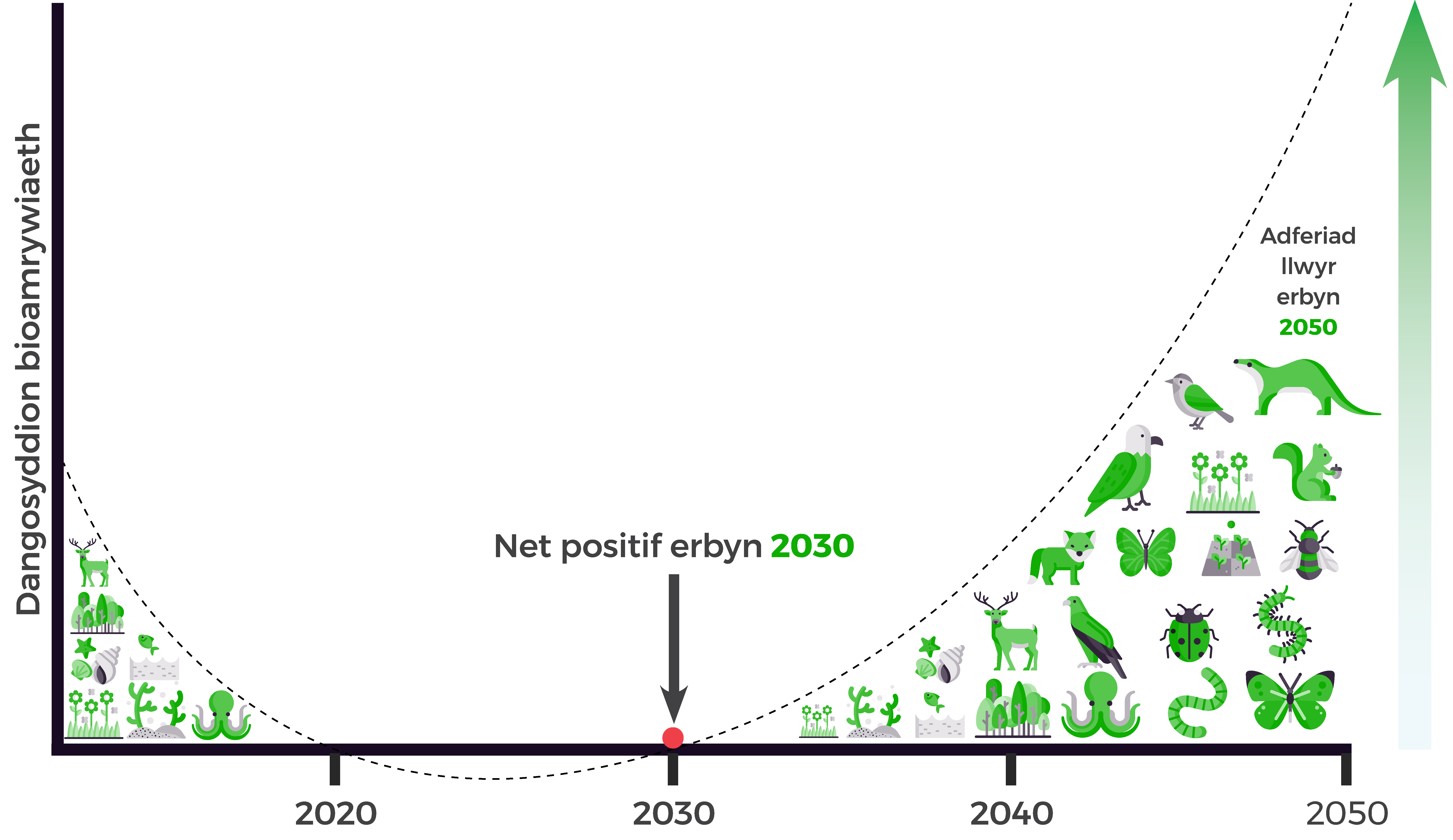 Graff llinell yn dangos dirywiad mewn bioamrywiaeth hyd at y 2020au, ac uchelgais i sicrhau cynnydd mewn bioamrywiaeth i lefel bositif net erbyn 2030 (o'i gymharu â 2020), a thuedd gynyddol hyd at 2050. Defnyddir eiconau o blanhigion ac anifeiliaid i gynrychioli bioamrywiaeth.
