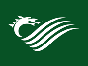 Dragon on green background